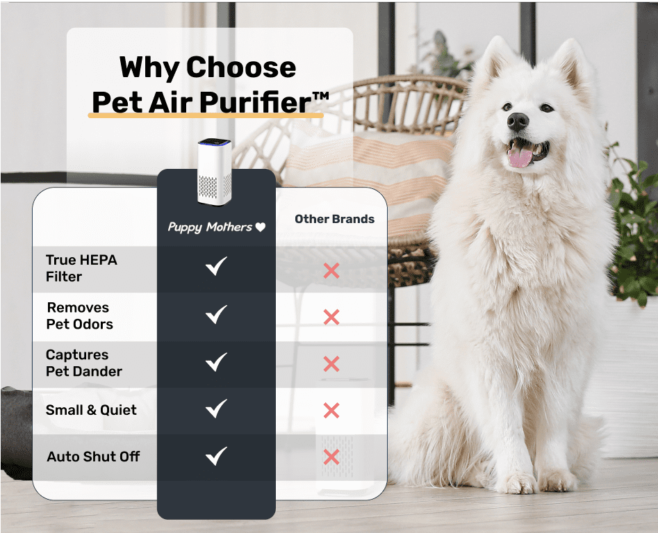 Pet Air Purifier™