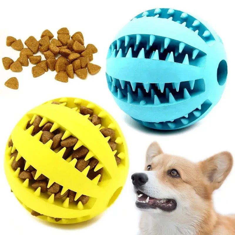 The Treat Toy